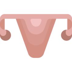 Uterus