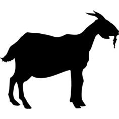 Lamb