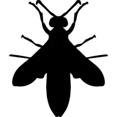 Wasp silhouette