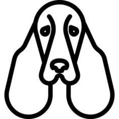 Springer Spaniel