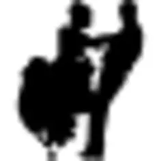 Flamenco dancers couple