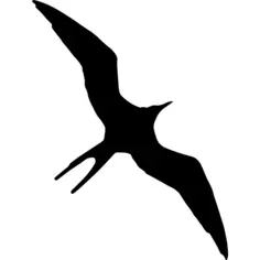 Frigatebird bird animal shape
