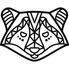 Racoon
