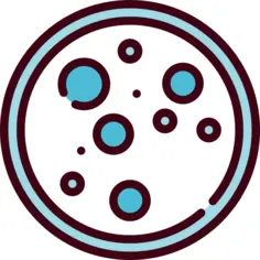 Petri dish