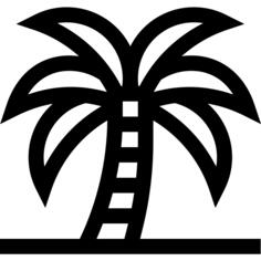Date palm