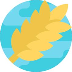 Wheat