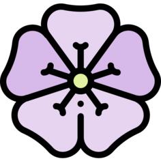 Geranium