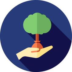 Reforestation