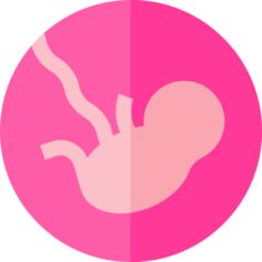 Fetus