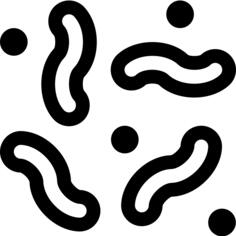 Worm