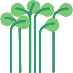 Cress