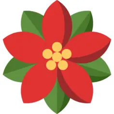 Poinsettia