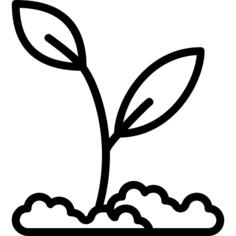 Sprout