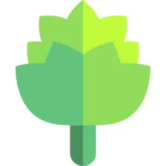 Artichoke