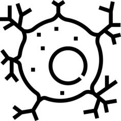Neuron