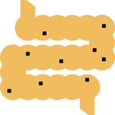 Intestine