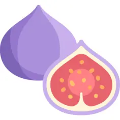 Fig