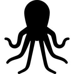 Wild Octopus