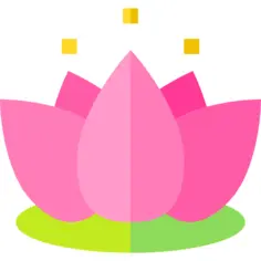 Lotus flower