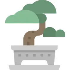 Bonsai