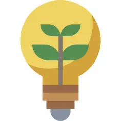 Ecology and environment