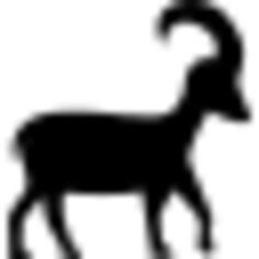 Capricorn