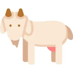 Goat