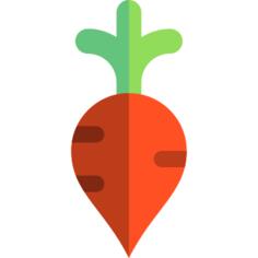 Radish
