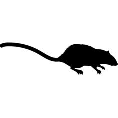 Mouse mammal animal shape