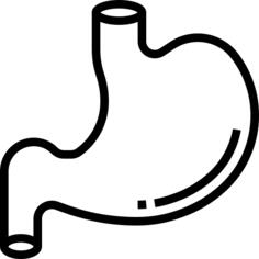 Stomach