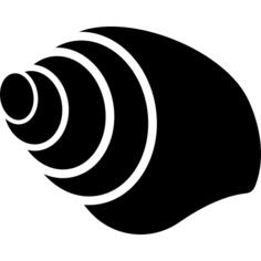 Seashell Conch