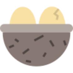 Nest