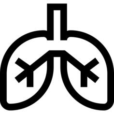 Lungs