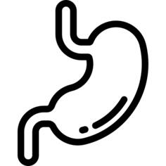 Stomach