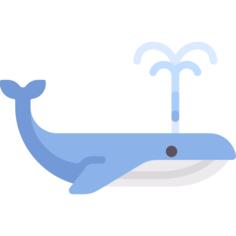 Whale