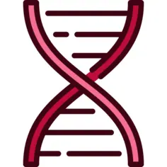 Dna structure