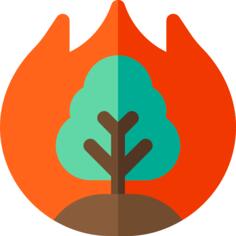 Burning