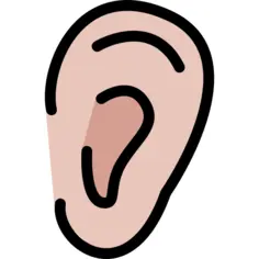 Ear
