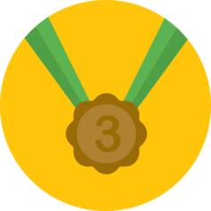 Bronze medal