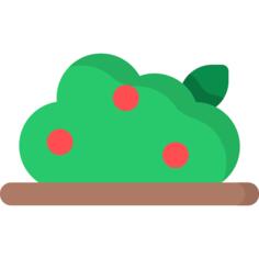 Bush