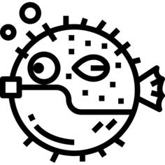 Puffer fish