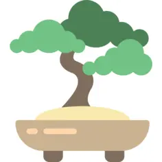 Bonsai