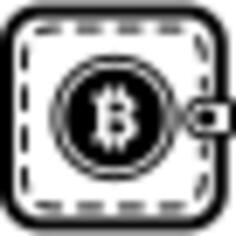Bitcoin pocket or wallet