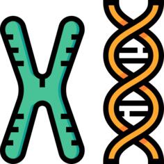 Chromosome
