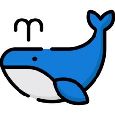Whale
