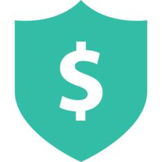 Shield