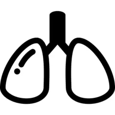 Lungs