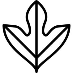 Sassafras