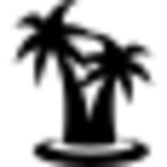 Palm trees couple