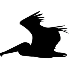 Pelican flying side silhouette